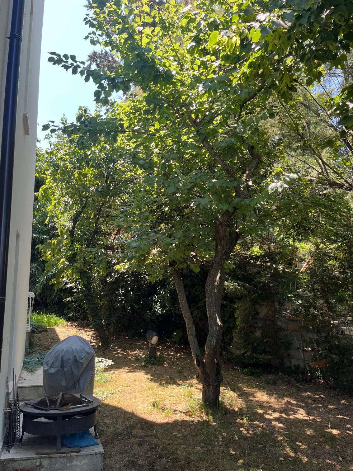 Villetta Panoramica Con Giardino A Riccione Buitenkant foto